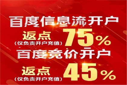 深度解析SEM优化：成功企业的广告策略